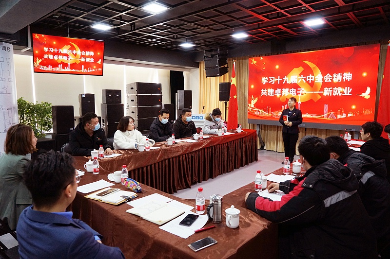 ZOBO羞羞APP大全黨支部丨開展“學習貫徹黨的十九屆六中全會精神”主題黨日活動