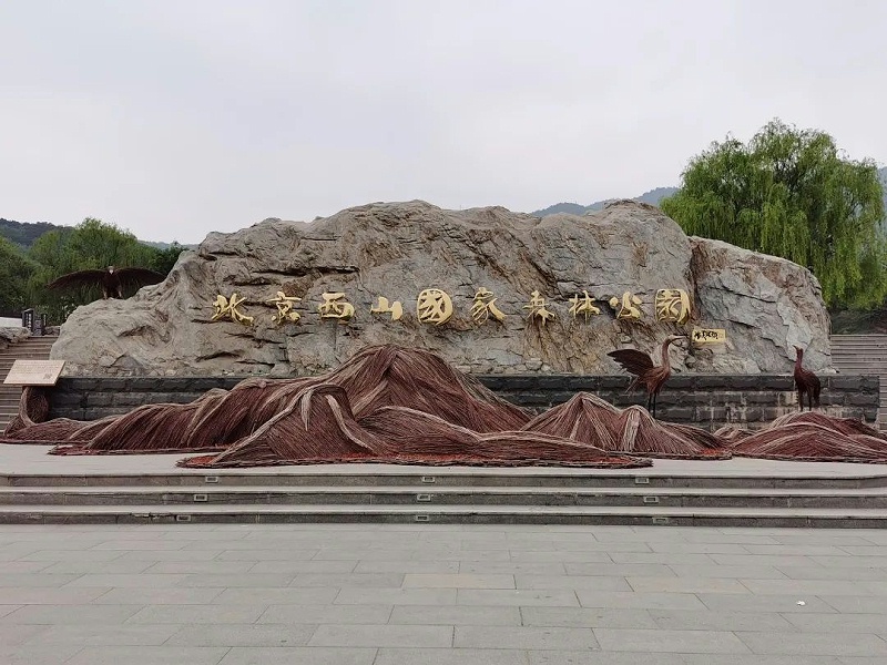 “緬懷先烈 傳承初心”—ZOBO羞羞APP大全黨支部參觀無名英雄紀念碑活動